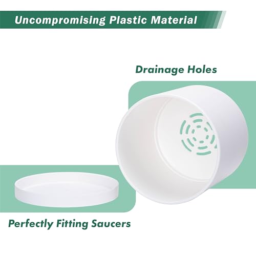 D'vine Dev Plastic Planter Pot with Saucer, 8 in, White, 74-X-A-1 - color: Matte White, size: 8 Inch