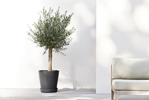 Ecopots Venice 2 Round Flower Planter with Water Reservoir, White Grey, 8" - color: White Grey, size: 12"