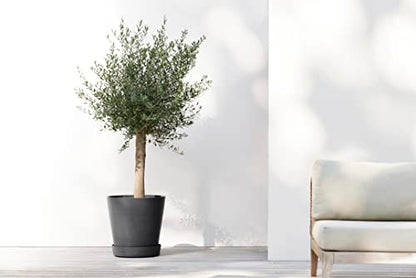 Ecopots Venice 2 Round Flower Planter with Water Reservoir, White Grey, 8" - color: White Grey, size: 12"