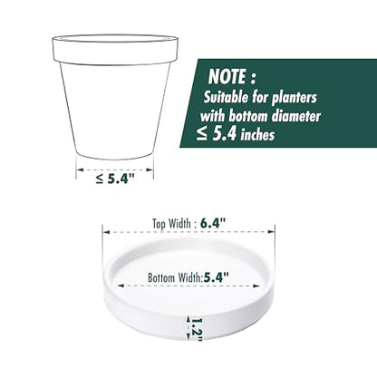 D'vine Dev 2-Pack Ceramic Plant Saucers, 5.4 in, White, 97-T-A-22 - color: White, size: 5.4" (2 Pack)