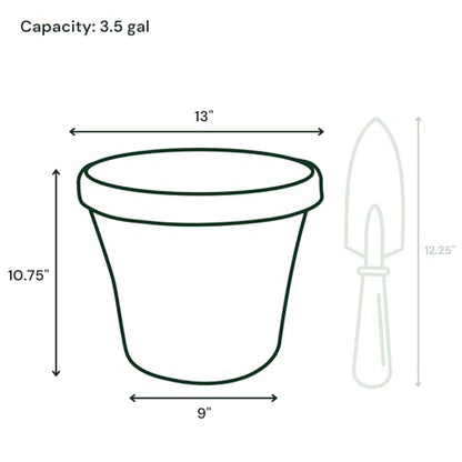 Bloem Terra 12" Plastic Planter, 3.5 Gallon, Basil, 6-Pack - color: Basil, size: 12" (Pack of 6)