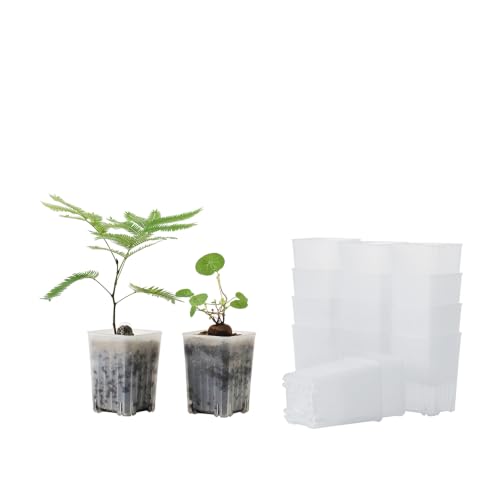 16 Pack 3.20 Inch Small Clear Plastic Square Nursery and Seedling Pot, Deep Transplant Seed Starter Planter with Drain Hole for Germination, Herb, Succulent - color: Clear