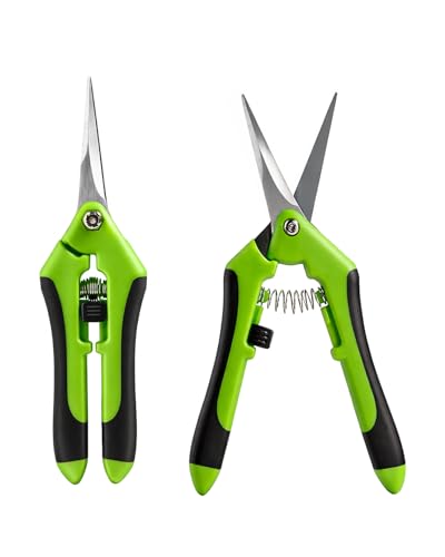 2-Pack Pruning Scissors, 6.5 Inch Stainless Steel Gardening Shears for Flower Trimming, Plant Harvesting & Bonsai Clippers with Non-Slip Handles & Safety Lock（green） - color: Green