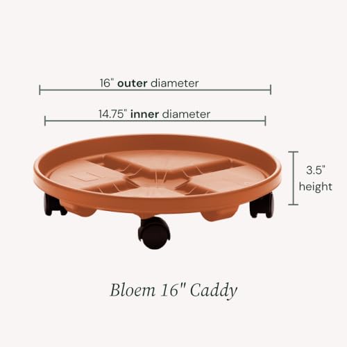 Bloem 16" Plastic Plant Caddy with Wheels, 150 lb Capacity, Terra Cotta - color: Terra Cotta, size: 16"