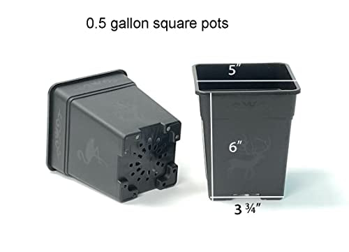 Wholesale 5 Inch Square Nursery Pot 30-Pack 0.5 Gallon Plastic Planters Pot Liners for Outdoor Indoor Plants with Drainage Holes - color: Black, size: 30-Pack 0.5 Gal Square