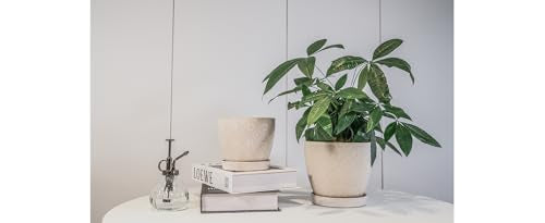 Docrin Ceramic Plant Pots Indoor, 6.6 + 5.5 Inch Planters with Drainage Holes and Saucer for Home/Office - Set of 2 /White - color: Creamy-white