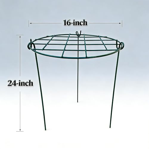 MTB Supply 5 Pack 16 x 24 inch Peony Cages,Grow Through Plant Support Stakes, Flower Support Hoops Heavy Plants Brace Rings - size: Grid 5pack