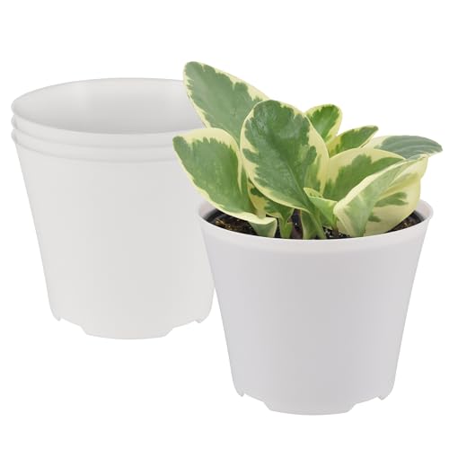 Arcadia Garden Products 4-Pack Plastic Pot, Fits [ 6” Azalea Style] Nursery Grow Pot – No Drainage Hole (Drillable), Minimal Cover Planter for Indoor Plants, Herbs, Flowers, Seedlings, [White] - color: White, size: 6 Inch Azalea