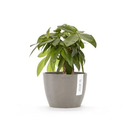 Ecopots Stockholm Round Flower Planter, Taupe, 6" - color: Taupe, size: 6"