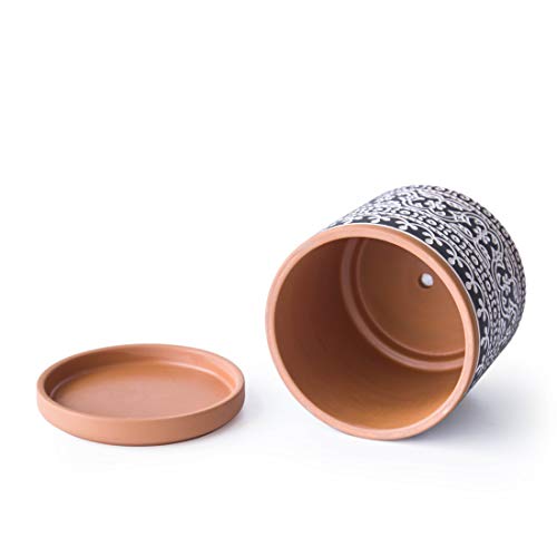 D'vine Dev 2-Pack Terracotta Pots, 4/6 in, Terra/Black, 31-958-F-2 - color: Terracotta/Black