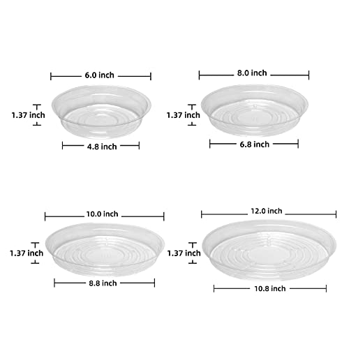 TRUEDAYS 20 Pack Plant Saucers (6 inch / 8inch / 10inch / 12inch) Clear Plant Saucers Flower Pot Tray Excellent for Indoor & Outdoor Plants - size: 6,8,10,12Inch