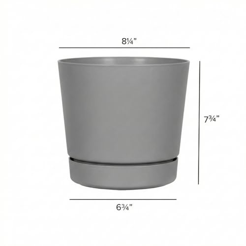 Root & Vessel Majestic Full Depth Round Cylinder Pot, Glossy Gray, 8-Inch (10080) - color: Gray, size: 8 Inch