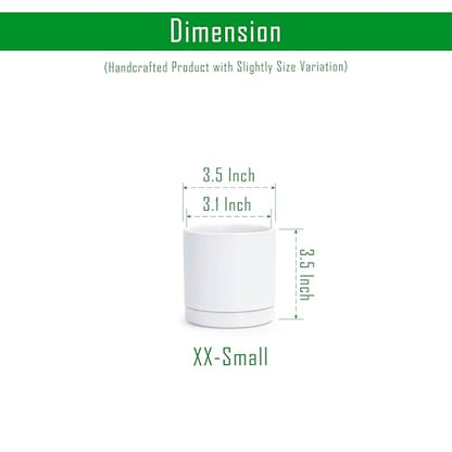 D'vine Dev 2-Pack Ceramic Pots with Saucers, White, 3.5 in, 94-V-A-1 - color: White, size: 3.5 Inch