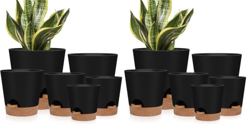 YNNICO Indoor Self Watering Planters with Drainage Holes and Saucers, 8, 7, 6.5, 6, 5.5, 5 Inches, Black, 6 Pots (Pack of 2) - color: Black, size: 8+7+6.5+6+5.5+5 inch (Pack of 2)