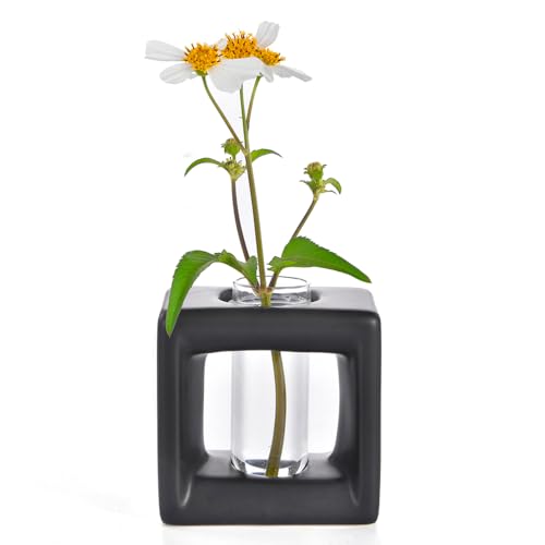 ORGJ Matte-Black Propagator Plant Vase - 2-in-1 Modular Propagation Tubes & Aroma Diffuser with Test Tube Rack System, Industrial Water Propagation Station for Herb Cuttings, Geometric Ceramic Decor - color: Black Square