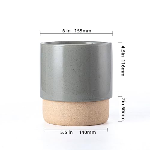 6 Inch Ceramic Self Watering Planter with Drainage Hole, Dark Grey - color: Darkgrey, size: Small