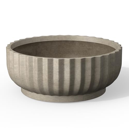Kante Accent Round Shallow Weathered Concrete Planter 14.6" Dia, Outdoor - color: Weathered Concrete, size: 14.6"w x 5.5"h
