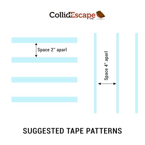 COLLIDESCAPE Spiderweb Clear BirdTape for Windows (3/4" x 20' - Covers 1 to 2 panes) | Bird Tape Decals to Prevent Bird Strike Prevention for Glass | Clear - size: 3/4 x 20'