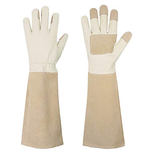 HANDLANDY Pruning Gloves Long for Men & Women, Pigskin Leather Rose Gardening Gloves- Breathable & Durability Gauntlet Glove - color: Beige, size: X-Small (Pack of 1)