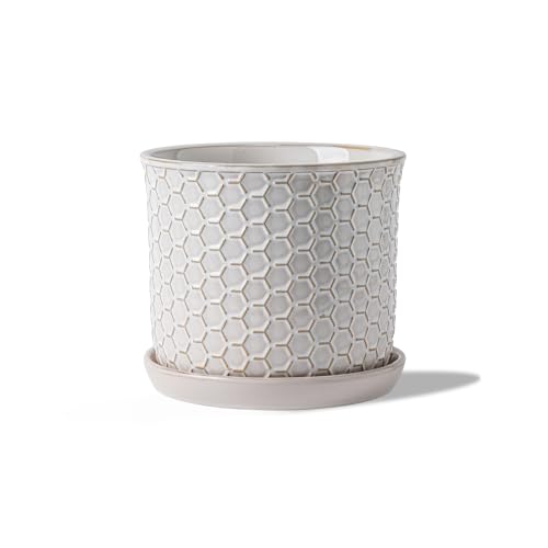5.8 Inch Ceramic Plant Pot with Drainage Hole & Separate Saucer - color: Honeycomb Embossed, size: 6 inch