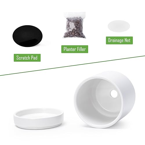 D'vine Dev 2-Pack Ceramic Pots & Saucers, White, 3.5/4.7 in, 94-G-XS-1 - color: White, size: X-Small