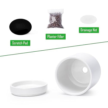 D'vine Dev 2-Pack Ceramic Pots & Saucers, White, 3.5/4.7 in, 94-G-XS-1 - color: White, size: X-Small