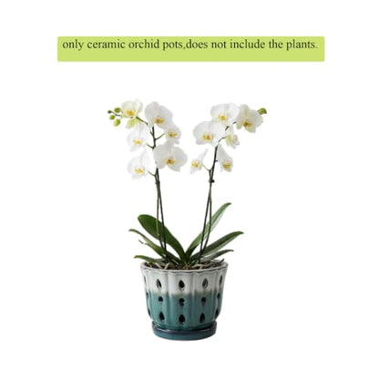Ceramic Orchid Pot with Holes 6'' Orchid Planter (cream over turquoise) - color: Cream Over Turquoise
