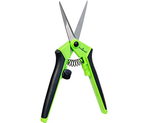 Hydrofarm HGPL400 Precision Anti-Fatigue Pruner, Green, Ergonomic Grip - color: Green, style: Straight Stainless Steel