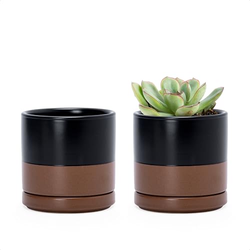 D'vine Dev 2-Pack Ceramic Pots with Saucers, Black/Tan, 3.5 in, 94-V-A-7 - color: Black/Speckled Tan, size: 3.5 Inch