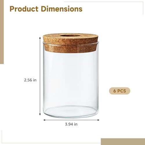 6 Pcs Propagation Vases for Plants, Cylinder Glass Vases with Cork Stopper