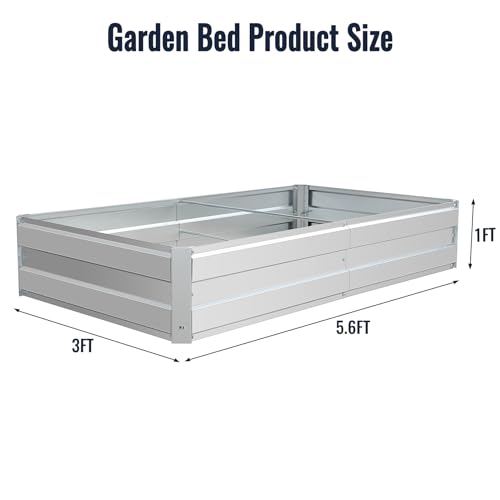 Galvanized Raised Garden Bed Kit, 5.6x3x1FT Metal Raised Garden Beds for Vegetables - size: 5.6*3*1FT