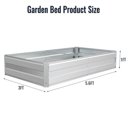 Galvanized Raised Garden Bed Kit, 5.6x3x1FT Metal Raised Garden Beds for Vegetables - size: 5.6*3*1FT