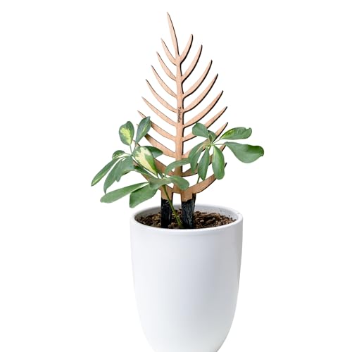 Treleaf Bare™ Palmella™ – Customizable Wooden Palm Leaf Plant Trellis – Regular Size 12” Indoor Plant Support and Decorative Houseplant Stake for Potted Vines and Climbing Plants - size: Regular - 12" tall, style: Palmella