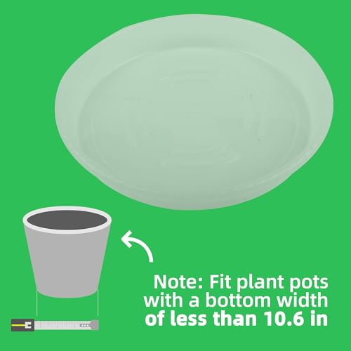 Plant Saucer 6 Pack of 12 inch,Drip Tray, Heavy-Duty Flower Pot Trays, Plant Pot Saucers 12" - color: Clear, size: 12"(6Pack)