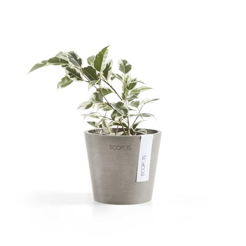 Ecopots Amsterdam Mini Round Flower Planter, Taupe, 4" - color: Taupe, size: 4 Inches