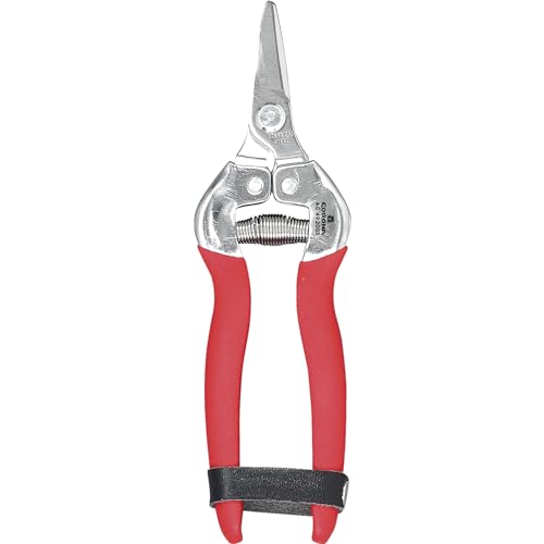 Corona AG 4920SS Short Curved Snip, Stainless Steel - color: Red