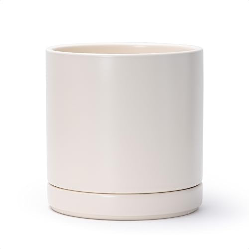 D'vine Dev 8.2 Inch Ceramic Planter Pot, Oatmeal, 94-O-D-8 - color: Oatmeal, size: Medium