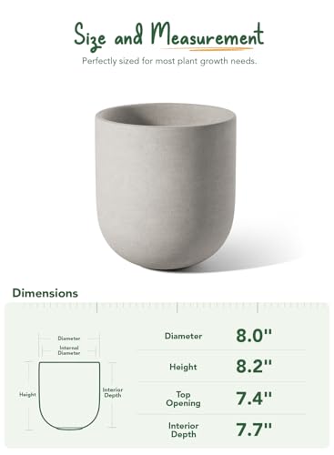 LE TAUCI 8 Inch Ceramic Plant Pot, Indoor Planter, Neutral Gray - color: Neutral Gray, size: 8“