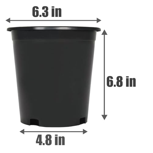1 Gallon Plant Nursery Pot 10-Pack 1 Gallon Plastic Garden Planter Pots Flower Seedling Injection Molded Container Seed Starting Pot Set for Indoor Outdoor Plants Seedlings Vegetables Black - size: Standard 1 Gallon