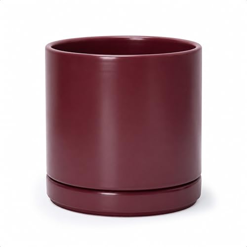 D'vine Dev 8 Inch Ceramic Planter Pot, Cordovan, 94-O-D-4 - color: Cordovan, size: Medium