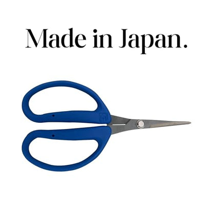 CHIKAMASA CRI-550SRF(Blue), The Specialty Trimming Precise Scissors, Stainless Steel with Fluorine Coating, Curved Blade for Trimming, harvesting vegetables and fruit, wide gardening use. - color: Silver/Blue