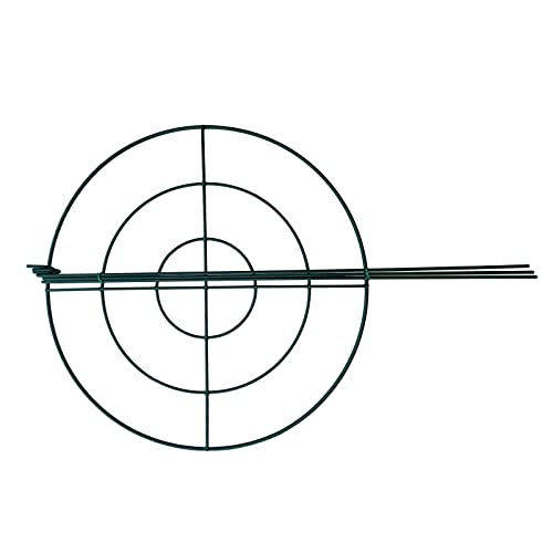 10 Pack 16"x24" Peony Cages Plant Support Stakes Grow Through Grid Grow Through Hoops, Metal Flower Plant Brace Support Ring for Heavy Blossom - size: 16"x24" Pack of 10