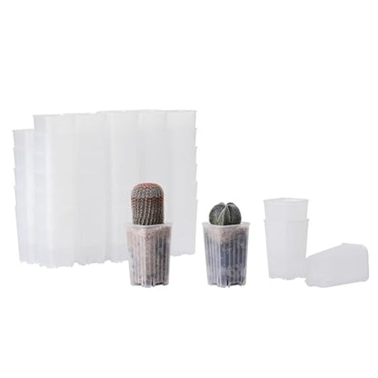 60 Pack 1.95 Inch Tiny Clear Plastic Square Nursery and Seedling Pot, Mini Deep Transplant Seed Starter Planter with Drain Hole for Germination, Herb, Succulent - color: Clear