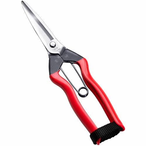 Harvesting Scissors Blunt Tips 7.9" for Vegetable, Fruits, Plants - Japanese Garden Shears Pruning Snips - Sharp Japanese Stainless Steel Blade & Non-Slip Spring-Loaded Handle - Made in Japan - style: Harvesting