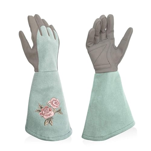 Rose Pruning Gloves with Forearm Protection, Thorn Resistant - color: Green, size: Medium (Pack of 1)