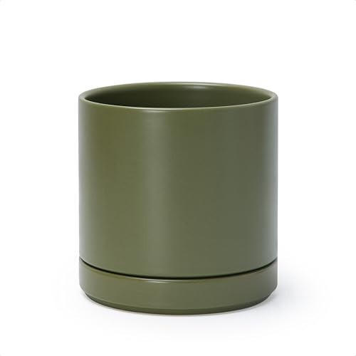 D'vine Dev 6.5 Inch Ceramic Planter Pot, Olive, 94-O-C-J - color: Olive, size: Small