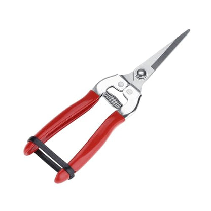 Stainless Steel Straight Pruning Shears for Rose Gardening Plant Trimming and Fruit Harvesting Durable Ergonomic Hand Pruners Garden Yard Tool