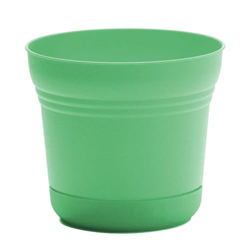 Bloem Saturn 5" Round Plastic Planter - Indoor/Outdoor, Snap-in Saucer & Drainage Holes, Mint Green - color: Mint Green, size: 5 Inches