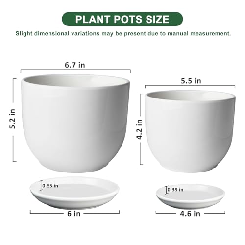 6.7 + 5.5 Inch Ceramic Plant Pot with Drainage and Saucer - size: 6.7 + 5.5 Inch 2 Pcs