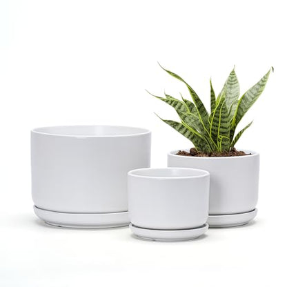 White Plant Pots,Ceramic Flower Pots Set of 3 with Drainage Holes(Matte) - color: Matte White